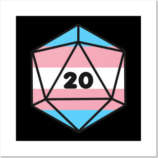 D20 - Transexual Pride Dice Posters and Art